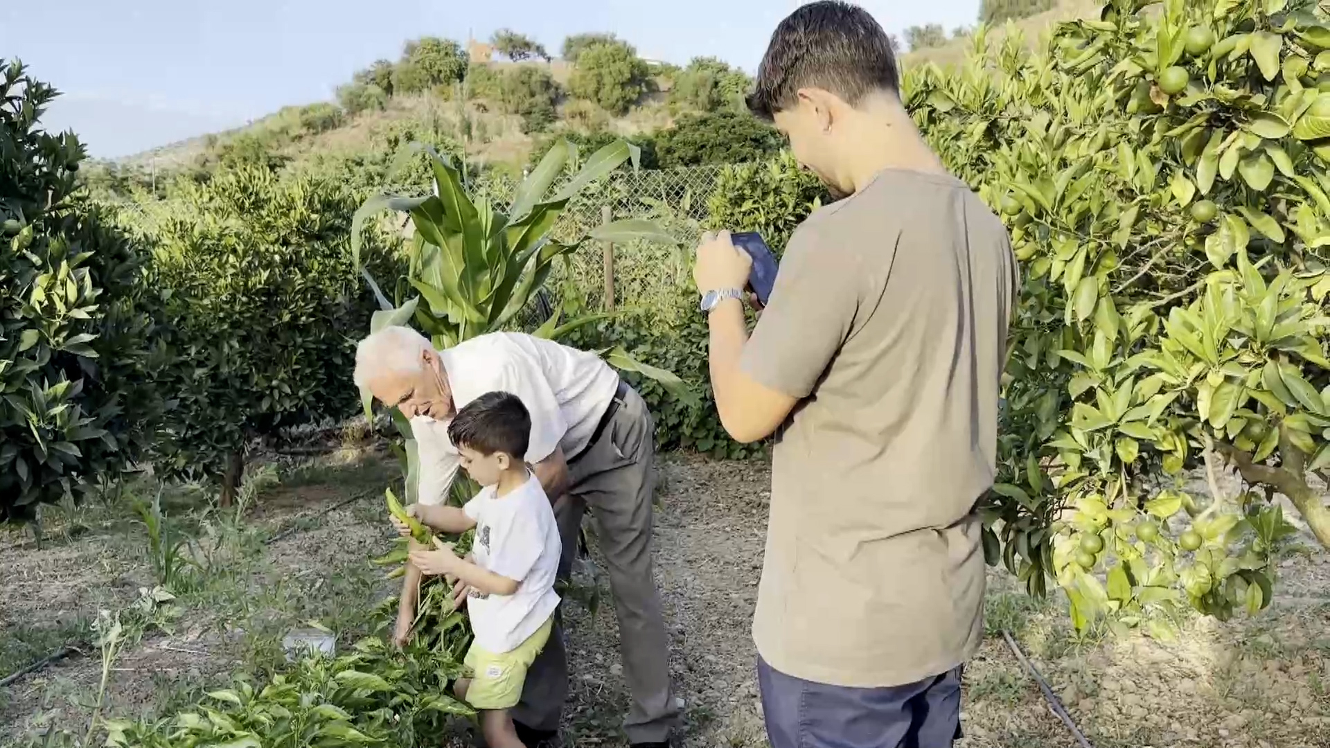 Portada-abuelo-influencer