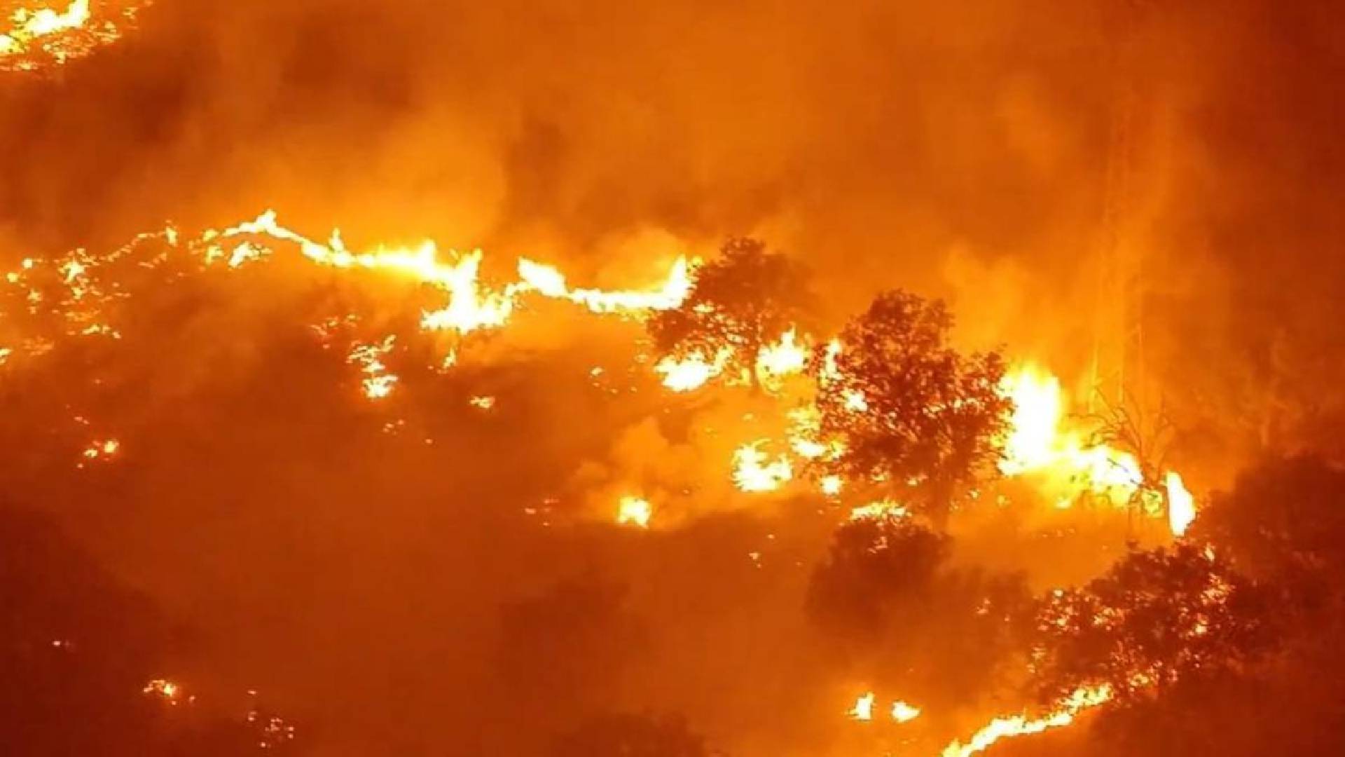 El incendio de Madrid sigue imparable: 45.000 afectados y las llamas avanzan hacia el Escorial
