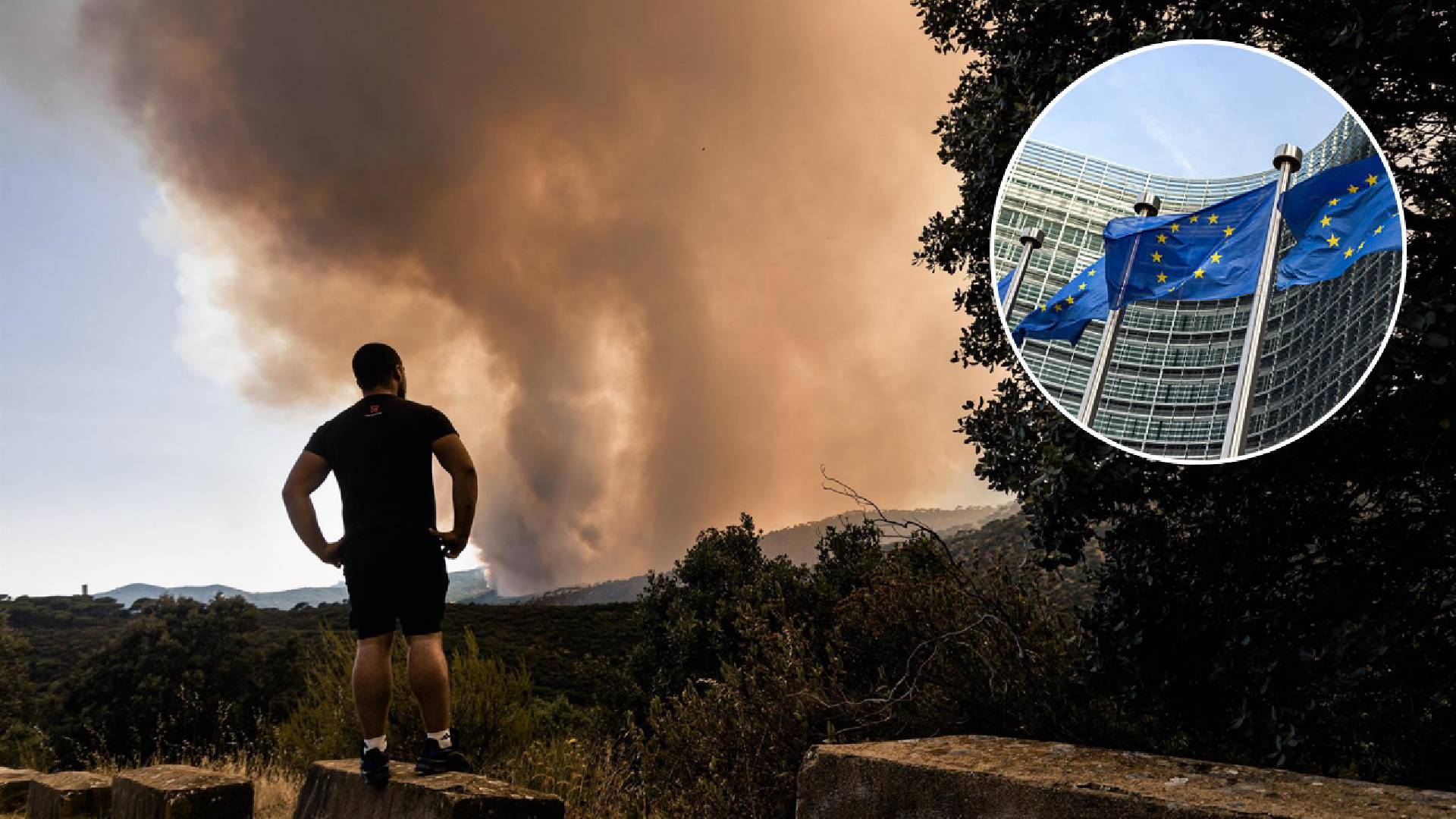 España pide ayuda a Bruselas: el Gobierno solicita cuatro aviones para combatir los incendios