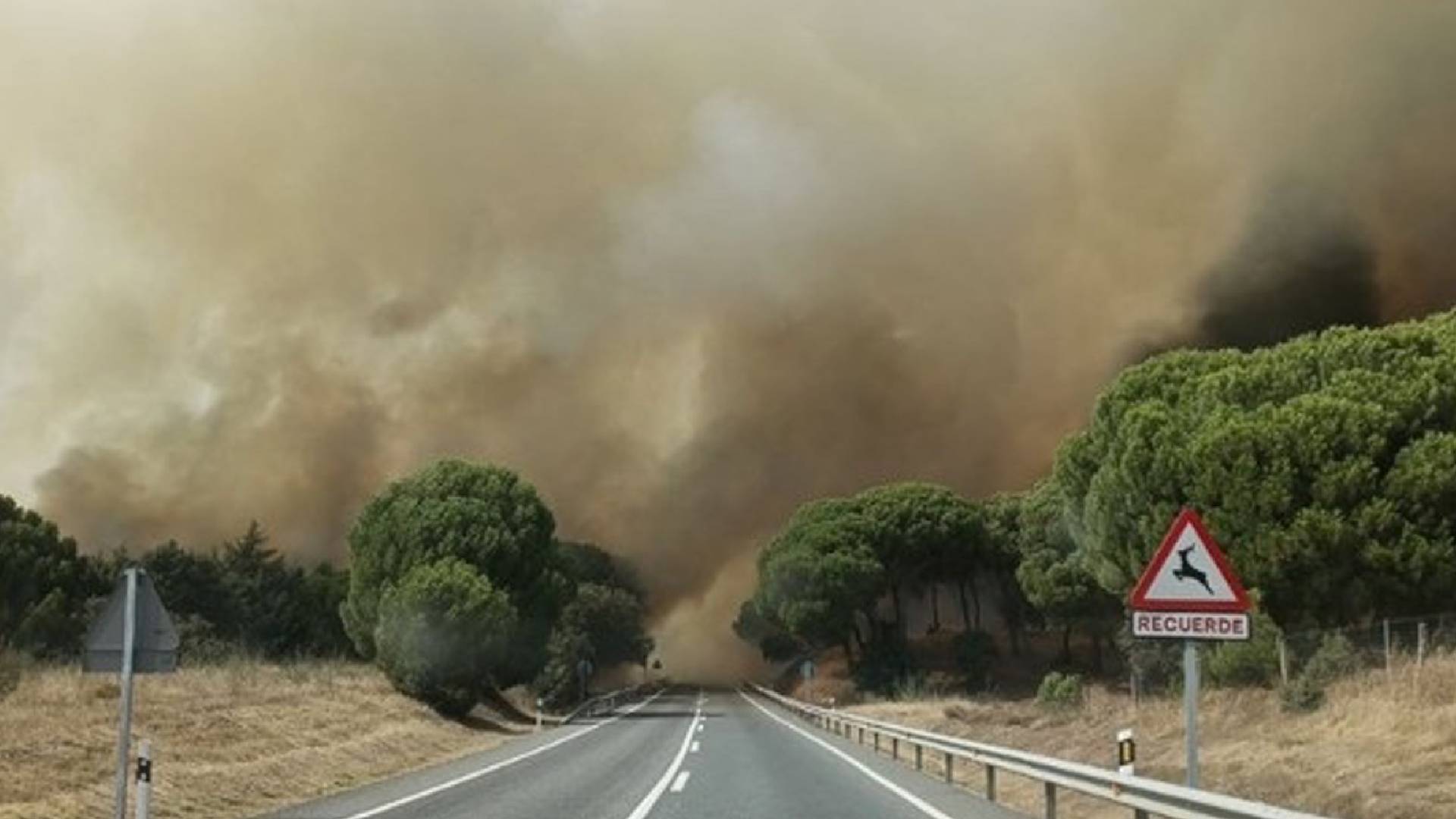 El Gobierno amplía a la provincia de Toledo la emergencia de interés nacional por la evolución de los incendios