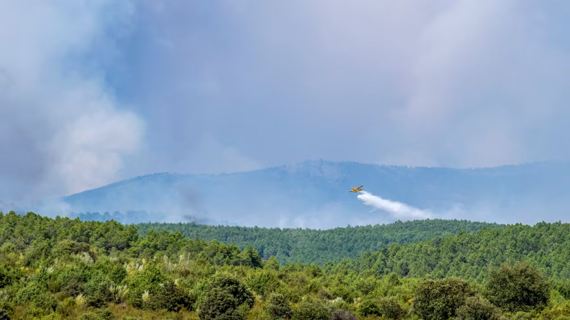 El incendio de Guadalajara ya arrasa más de 13.000 hectáreas y obliga a evacuar 21 municipios