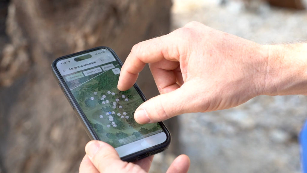 El sector ganadero apuesta por las ‘cabras bomberas’ con tecnología GPS para frenar los incendios en Málaga