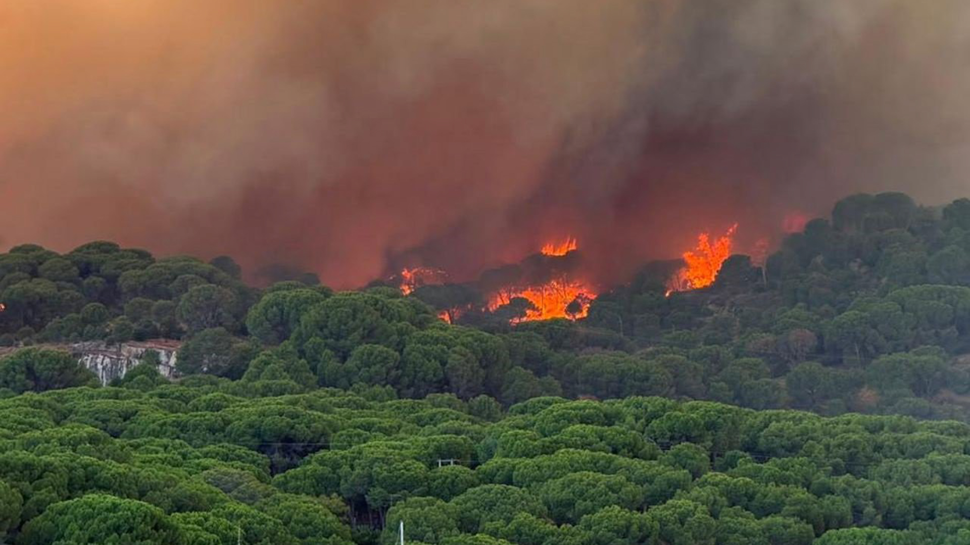 Hasta diez días de permiso y nuevas ayudas: el plan de Trabajo para los afectados por los incendios