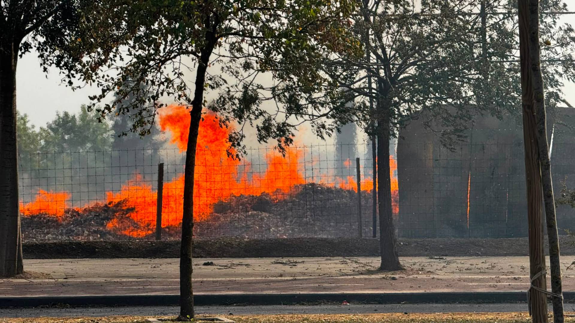 El granadino Polígono Juncaril vuelve a arder: el fuego arrasa una fábrica de palets