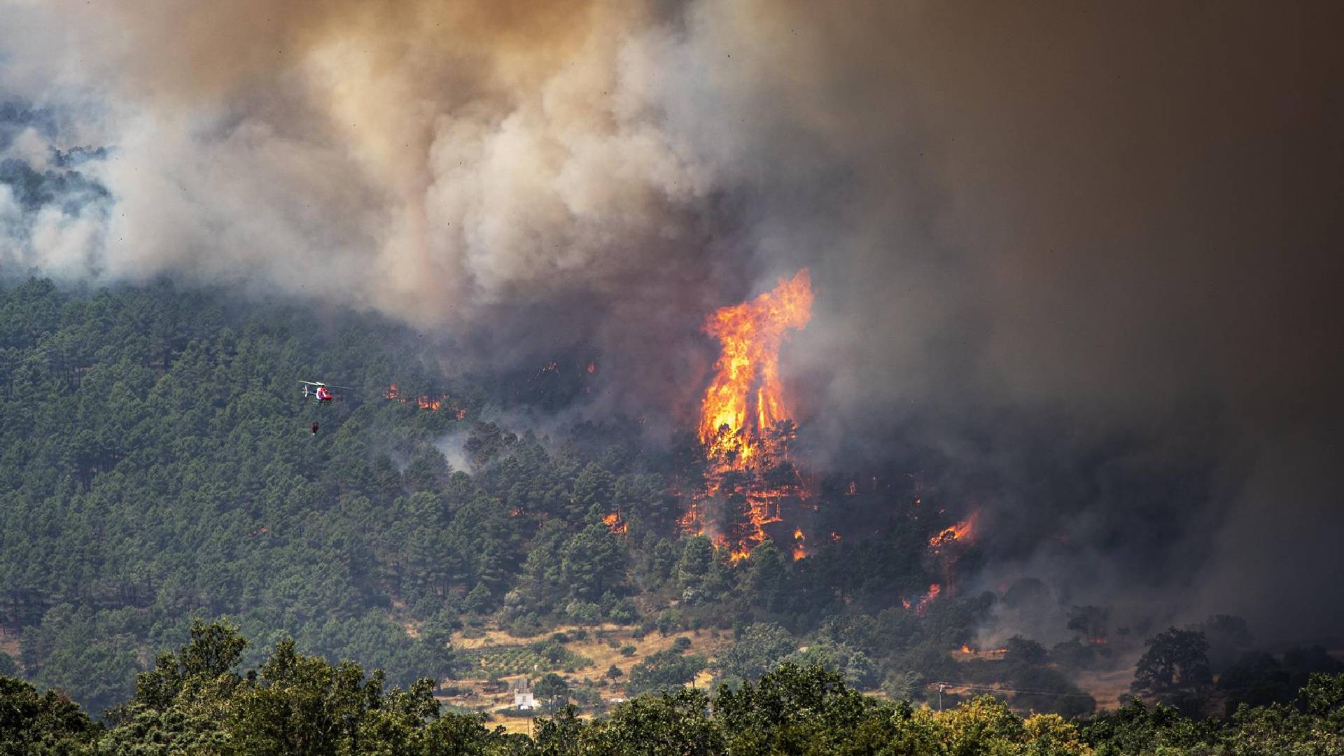 Los incendios en Madrid, Ávila y Toledo mantienen en alerta a miles de vecinos con cerca de 20.000 hectáreas bajo vigilancia