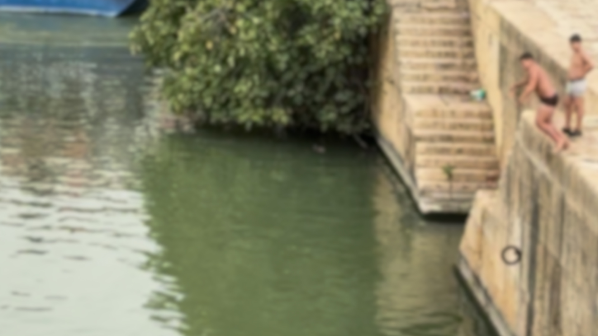 La peligrosa acción de unos niños tirándose al Guadalquivir desde los bajos de la Torre del Oro