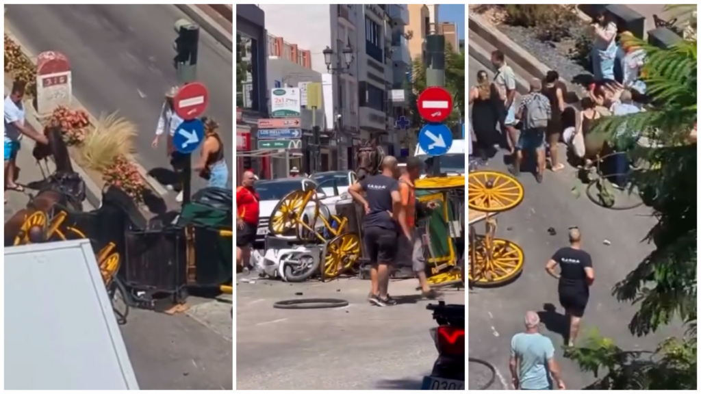 Un accidente entre un coche de caballos y una furgoneta de reparto provoca la caída de una motorista en Fuengirola