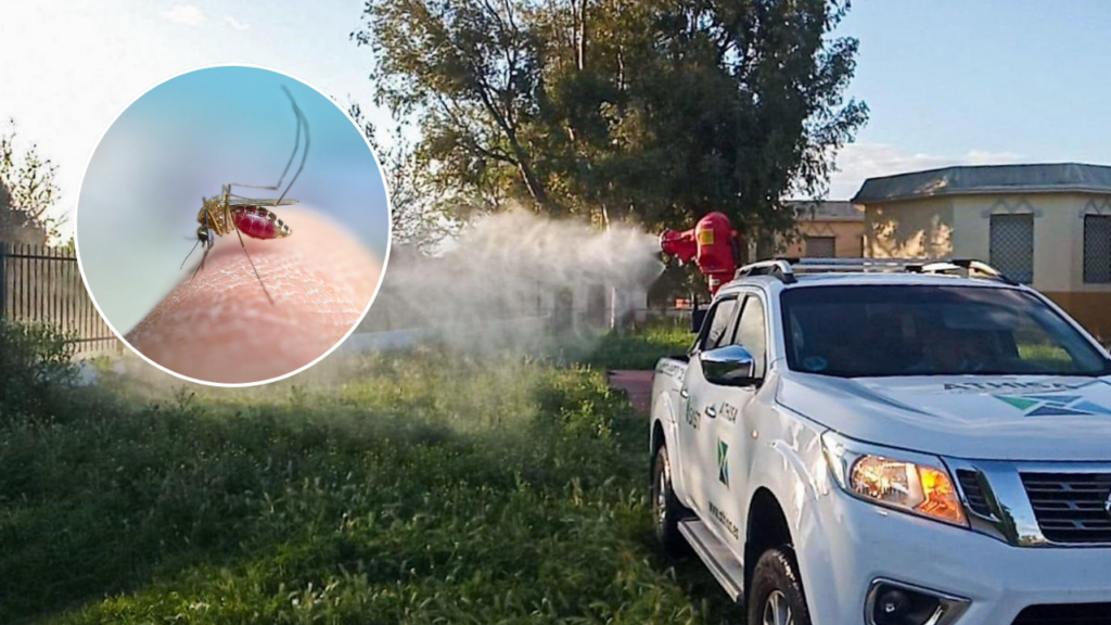 Málaga, en alerta por el virus del Nilo: la Junta decreta Campanillas como zona de alto riesgo por varios casos recientes