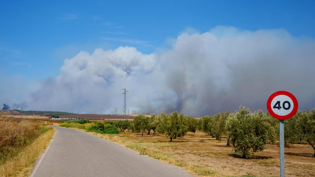 Evacuados los vecinos de El Madroño por el avance del incendio de Niebla