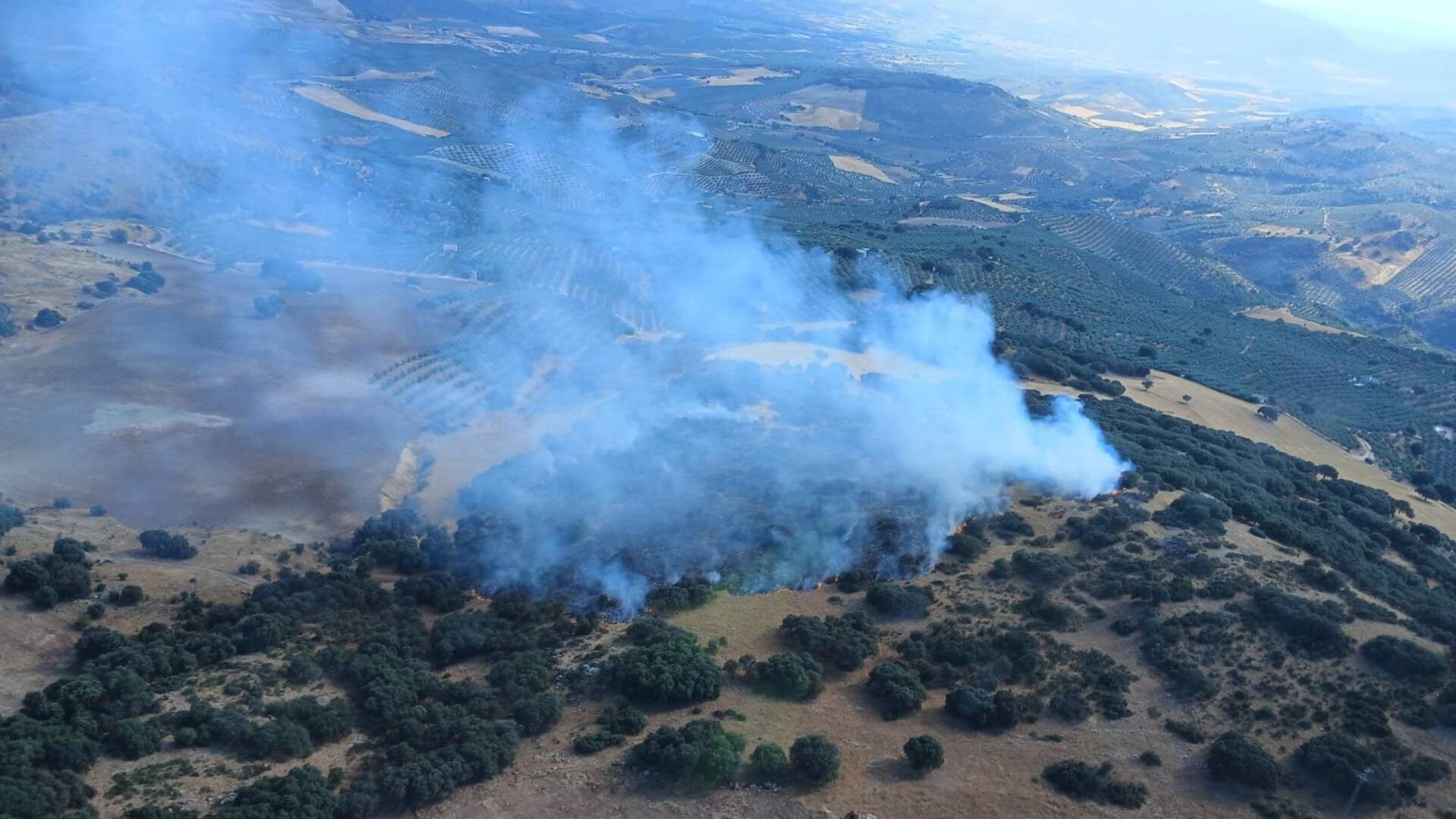 incendio-parapanda