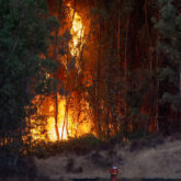 incendio-niebla