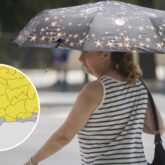 Las-tormentas-sacuden-Andalucia-este-sabado-los-aguaceros-dejan-hasta-30-litros-en-Malaga-y-Granada