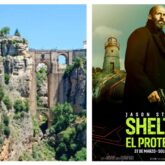 shelter-ronda shelter-ronda