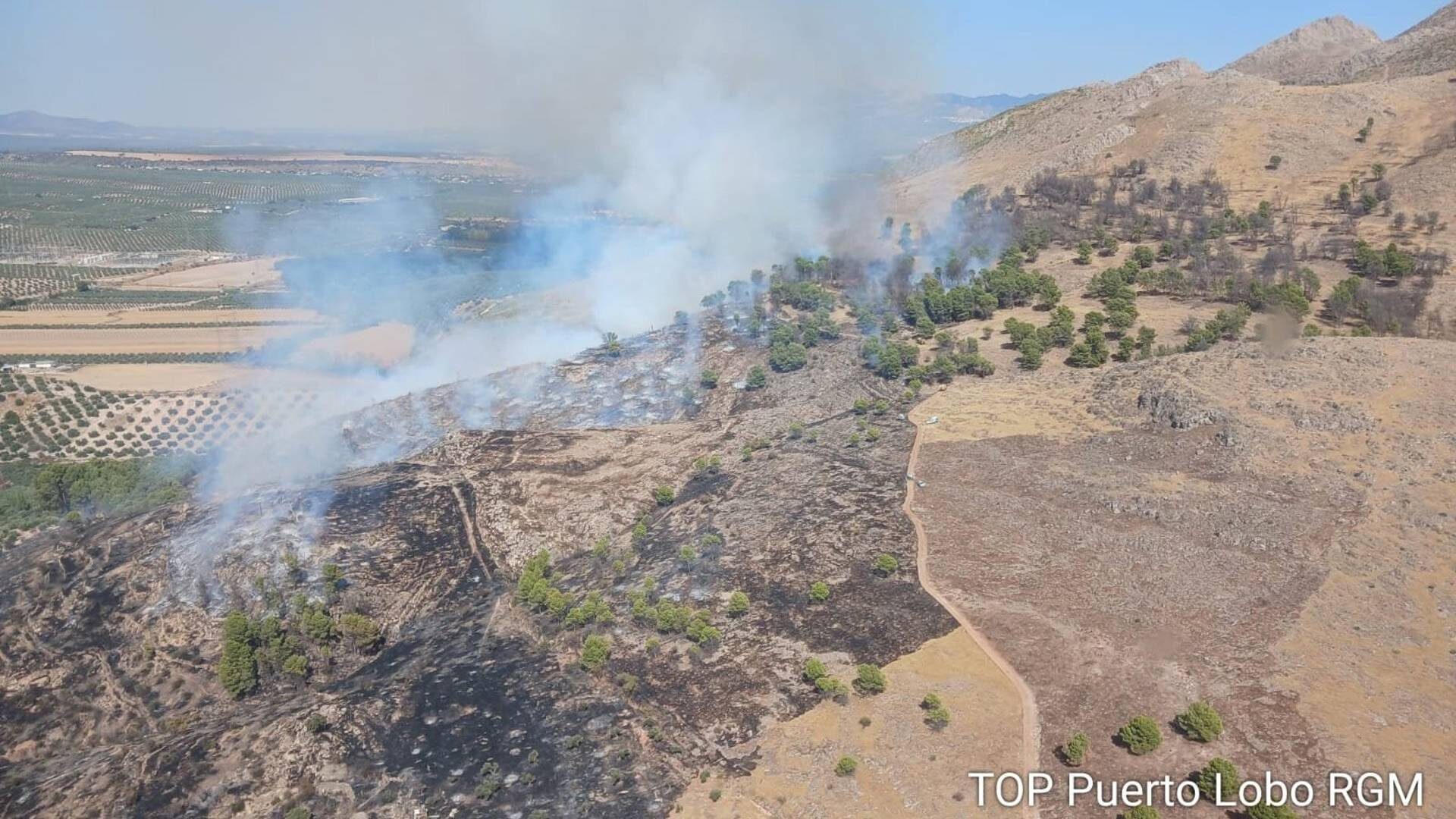 incendio-soportujar-granada-infoca-europapress
