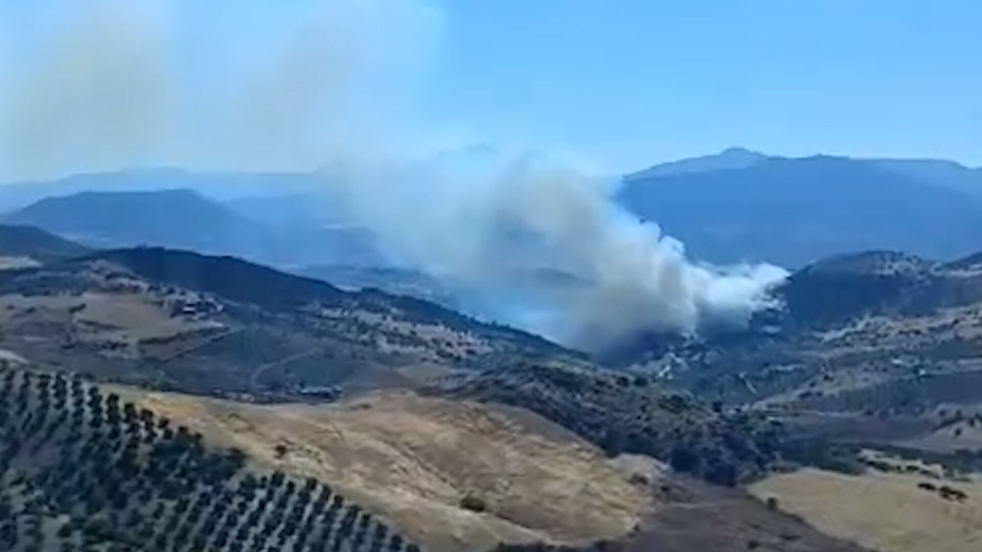 incendio-alora-fuego