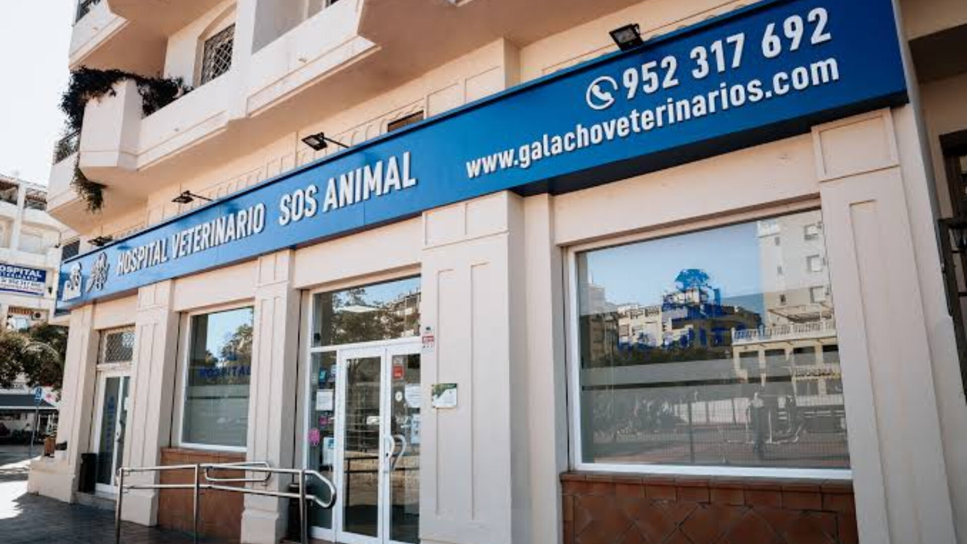 Hospital-Veterinario-SOS-Animal-Malaga
