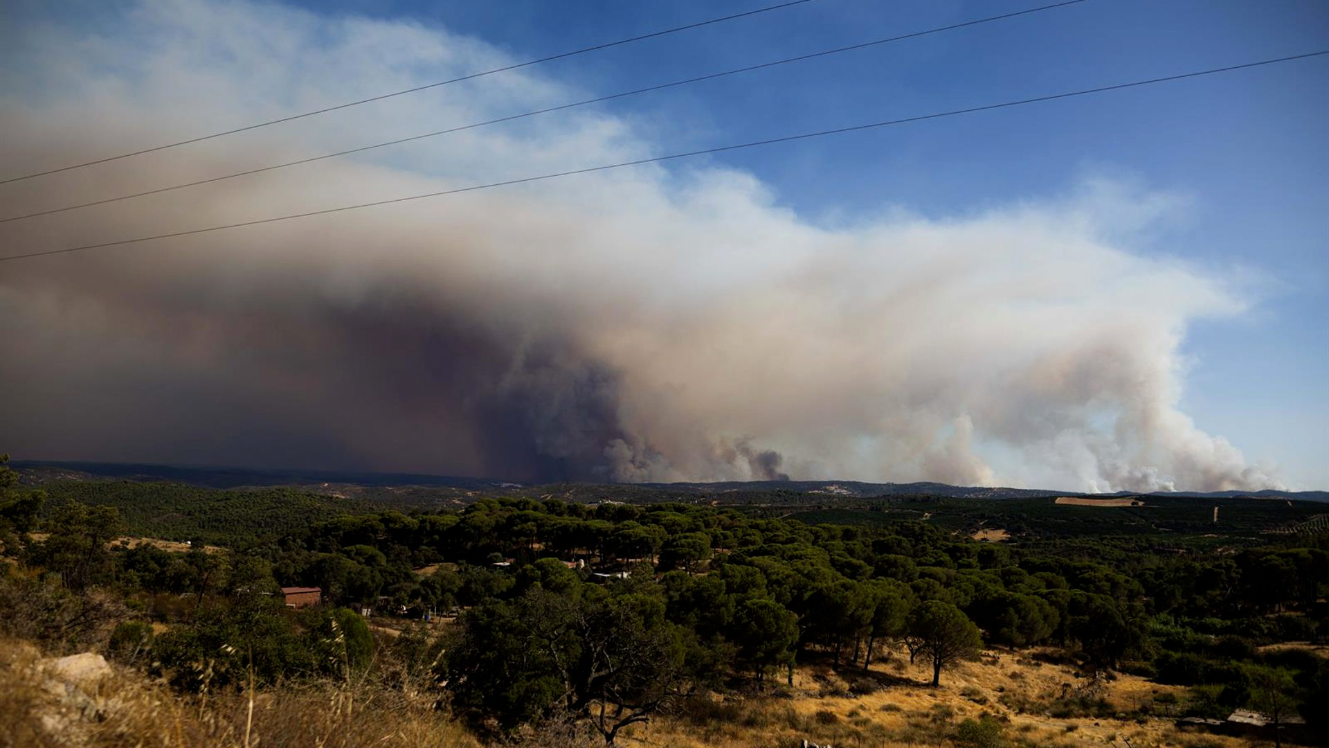 El incendio de Niebla evoluciona favorablemente con «gran parte» de los flancos «sin frente activo»