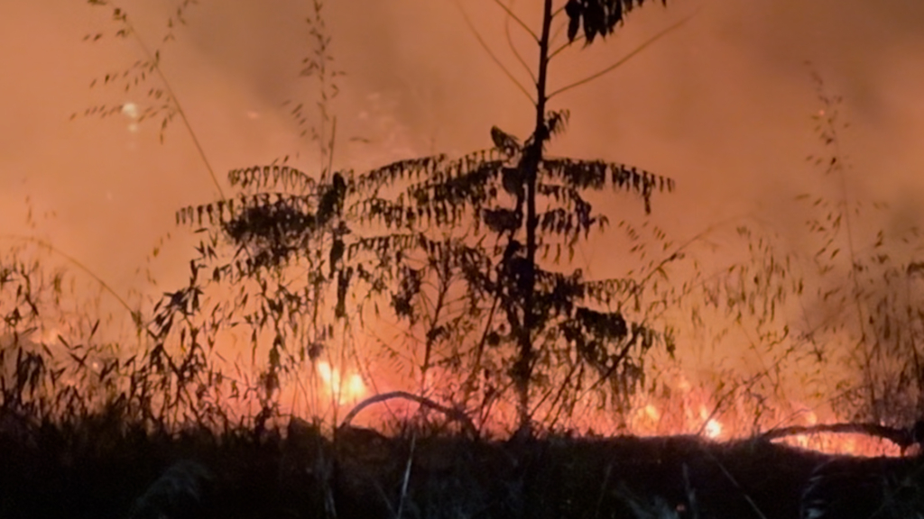 Controlado un incendio de rastrojos en Granada junto a la autovía y al Callejón de Nogales