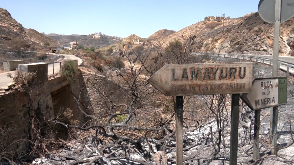Casi 300.000 hectáreas se han quemado en lo que va de año en España por los incendios forestales