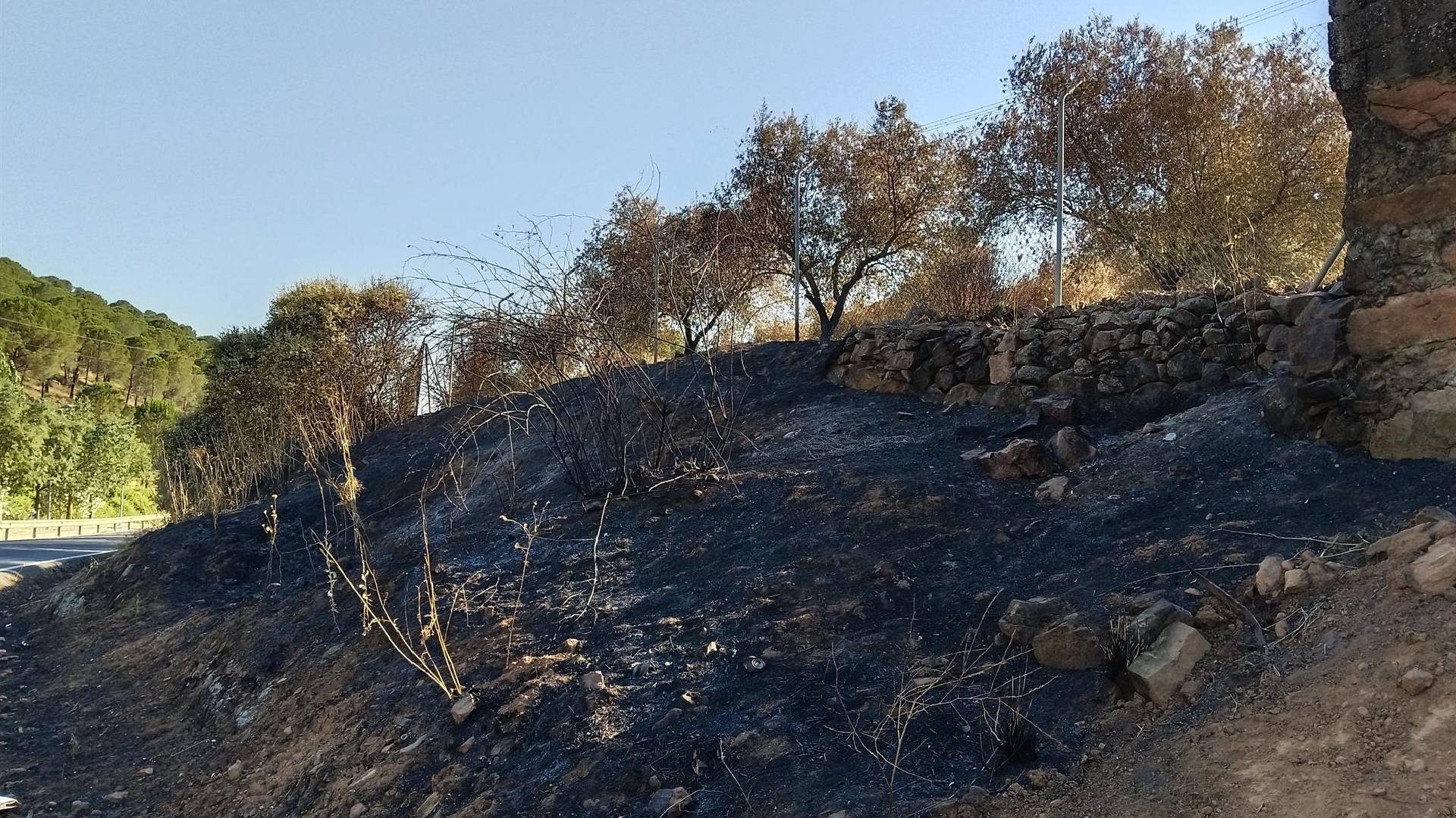 Investigan a un vecino de Villaviciosa de Córdoba como presunto autor de ocho incendios