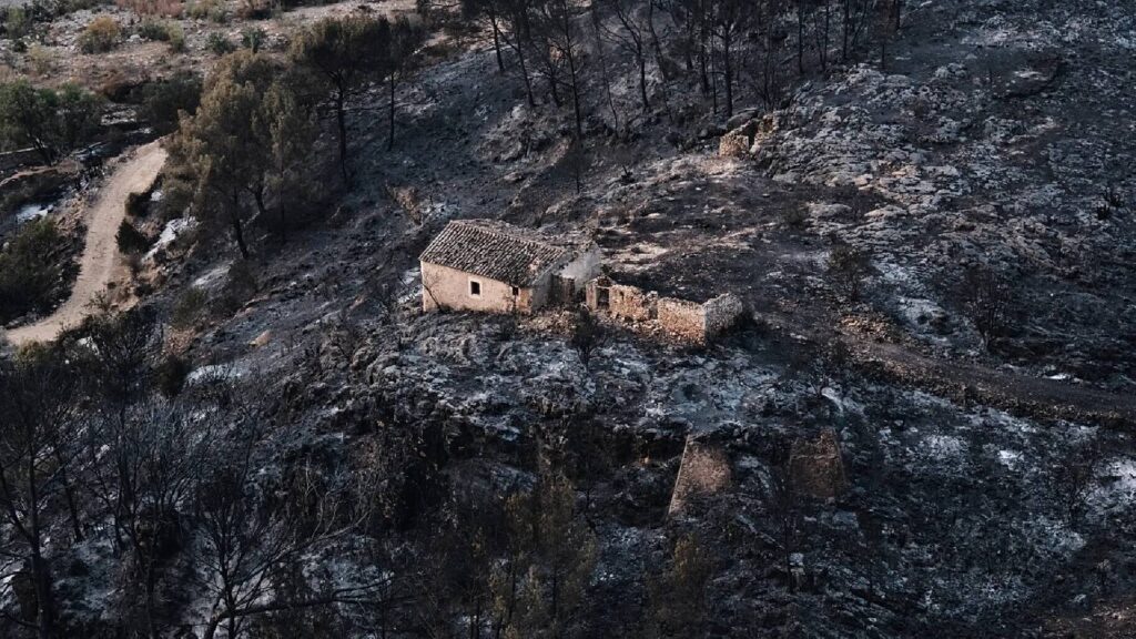 Un mes de la tragedia de Los Gallardos, el incendio que acabó con la vida de 14 personas y arrasó 5.200 hectáreas