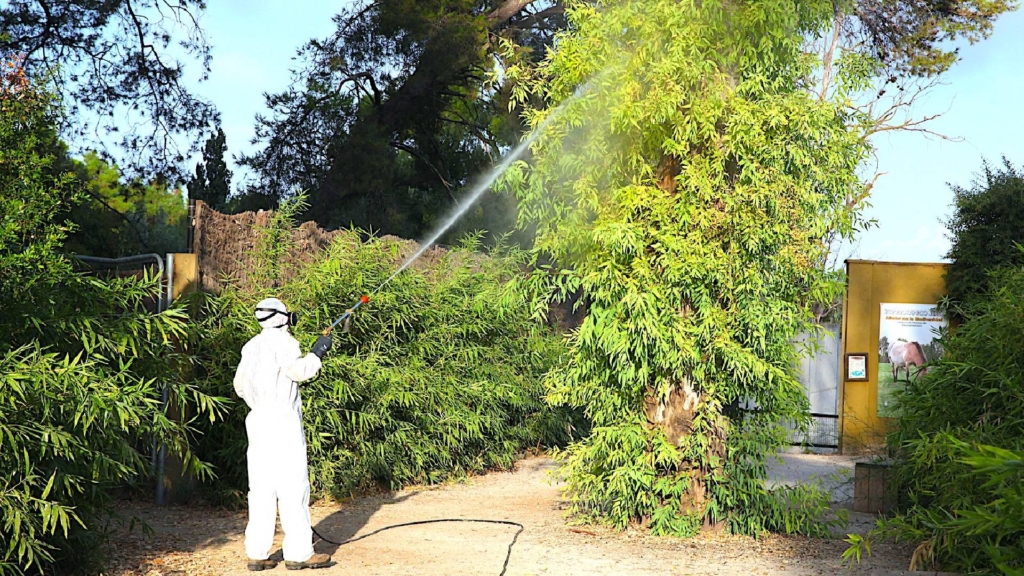 Fumigación masiva a 1,5 km del Zoo de Jerez tras la muerte de dos aves por el Virus del Nilo