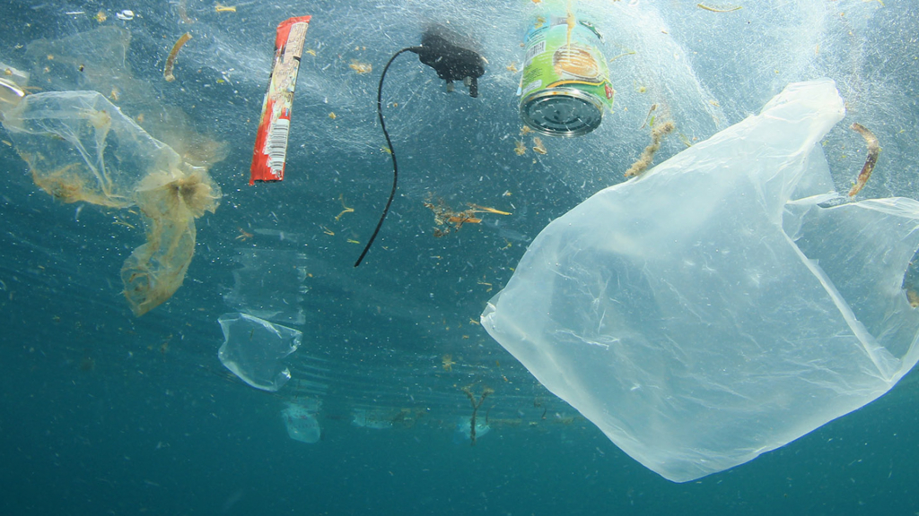 Julio supera a junio en basura marina: el litoral occidental malagueño recoge más de 33 metros cúbicos de residuos