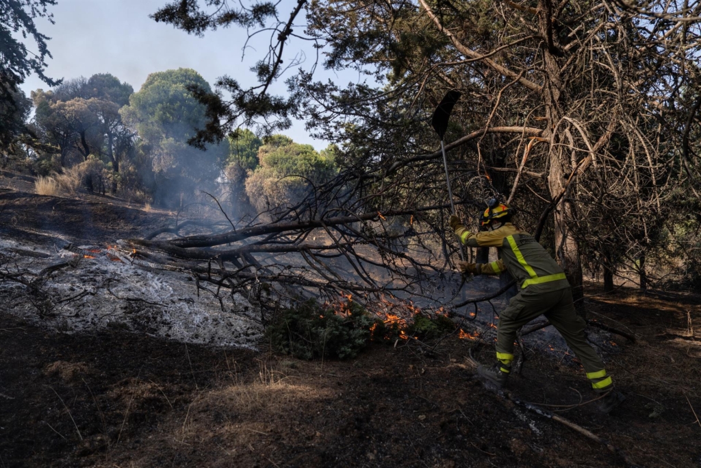Un incendio en Aldea del Freno, Madrid, confina a dos municipios y despliega a la UME