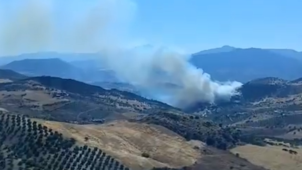 Un incendio forestal moviliza a los servicios de emergencia en Álora
