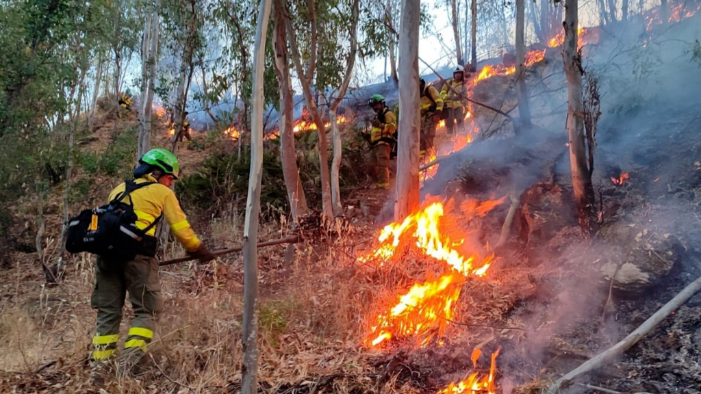 Activado el nivel 2 de emergencia en el incendio forestal de Niebla por la compleja evolución del fuego