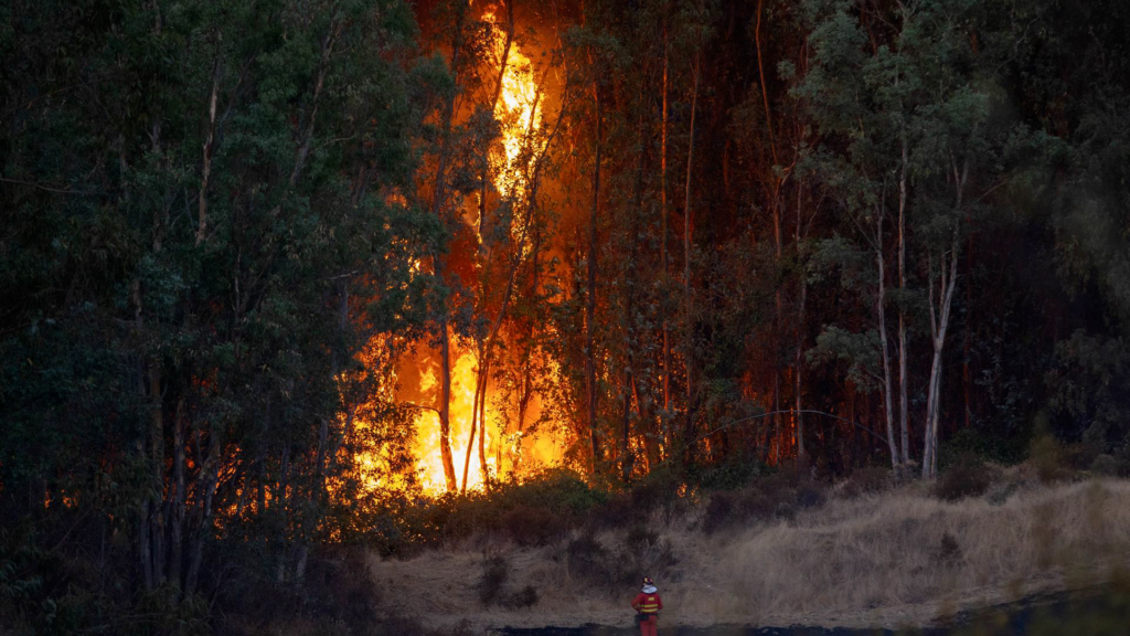El incendio de Niebla avanza sin control y eleva a 8.000 las hectáreas afectadas