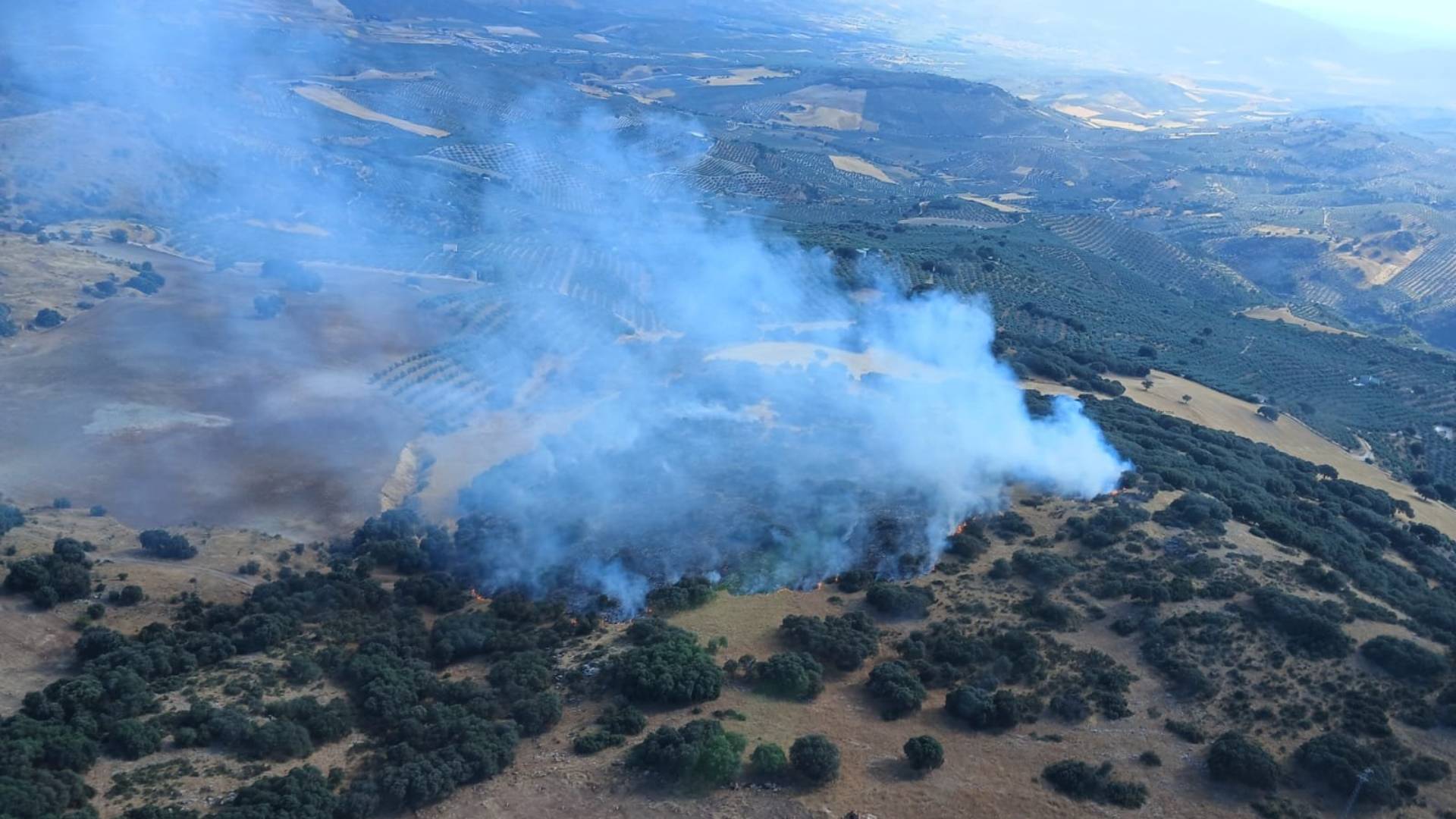 Medios aéreos para sofocar un incendio forestal en un paraje granadino