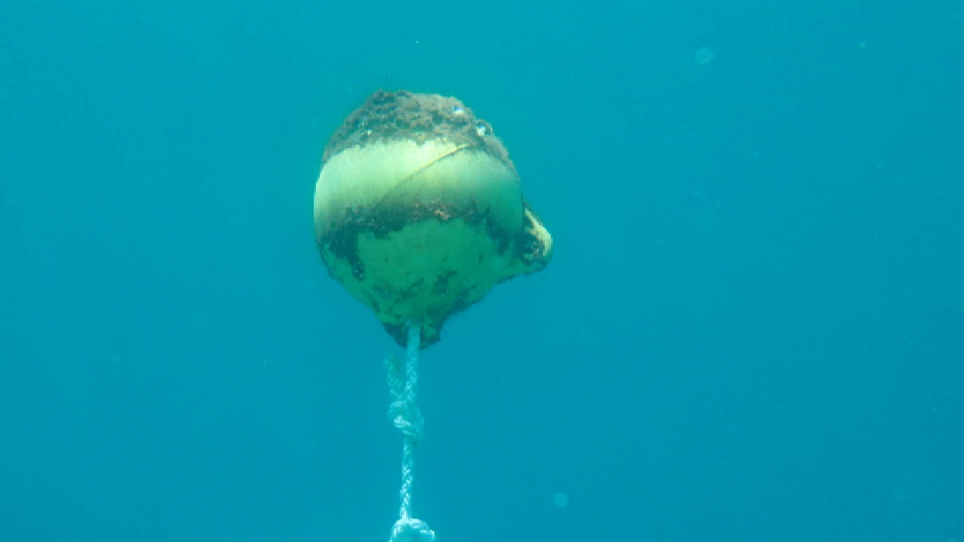 La Junta instala tres fondeos ecológicos en Nerja para el amarre de barcos de buceo