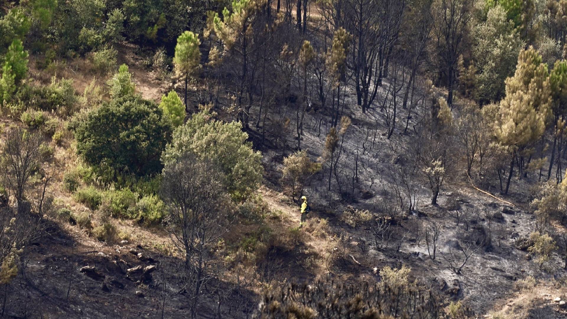 El incendio forestal de Igualeja se complica por los «cambios» del viento, pero «se aleja de la población»
