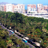 Paseo del Parque Paseo del Parque