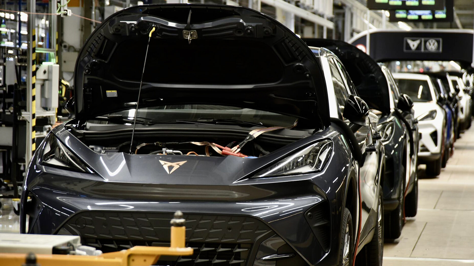 foto-planta-cupra
