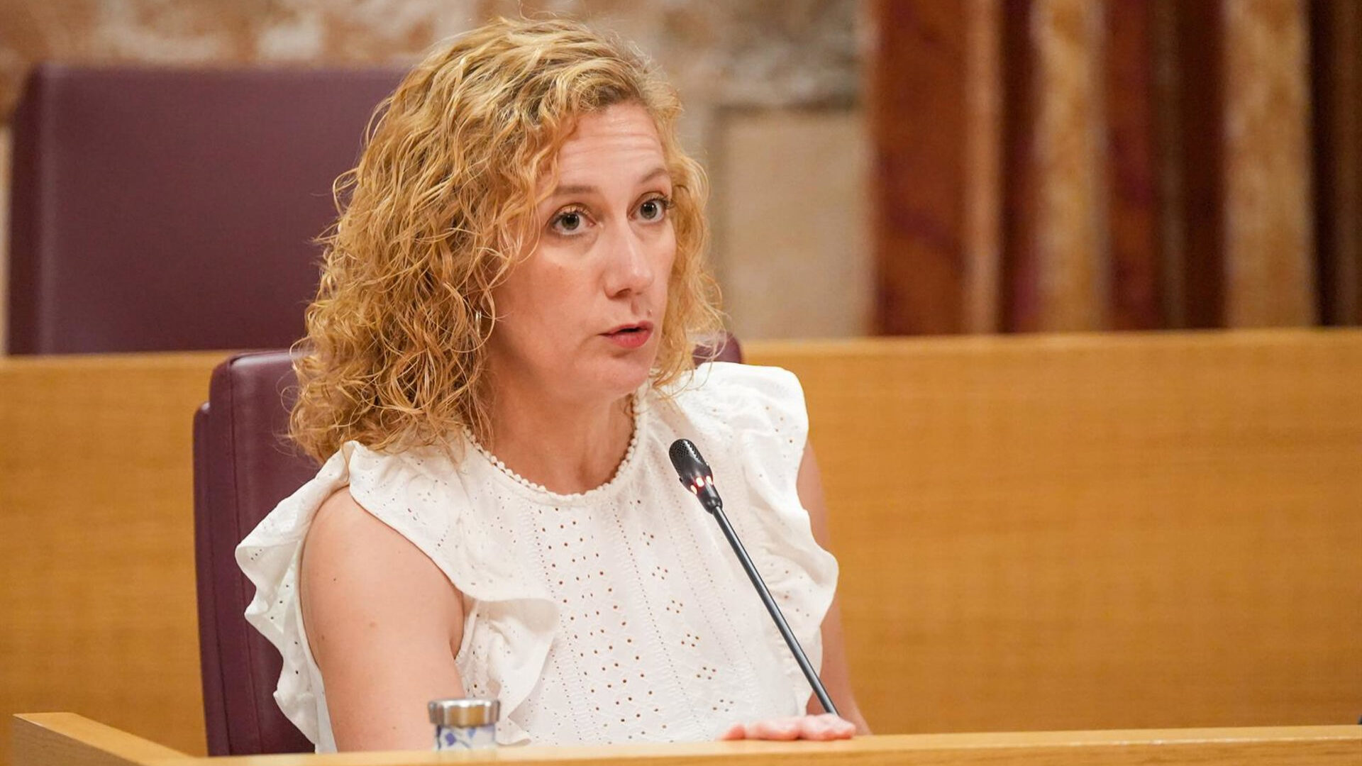 Susana-Hornillo-Podemos-Sevilla