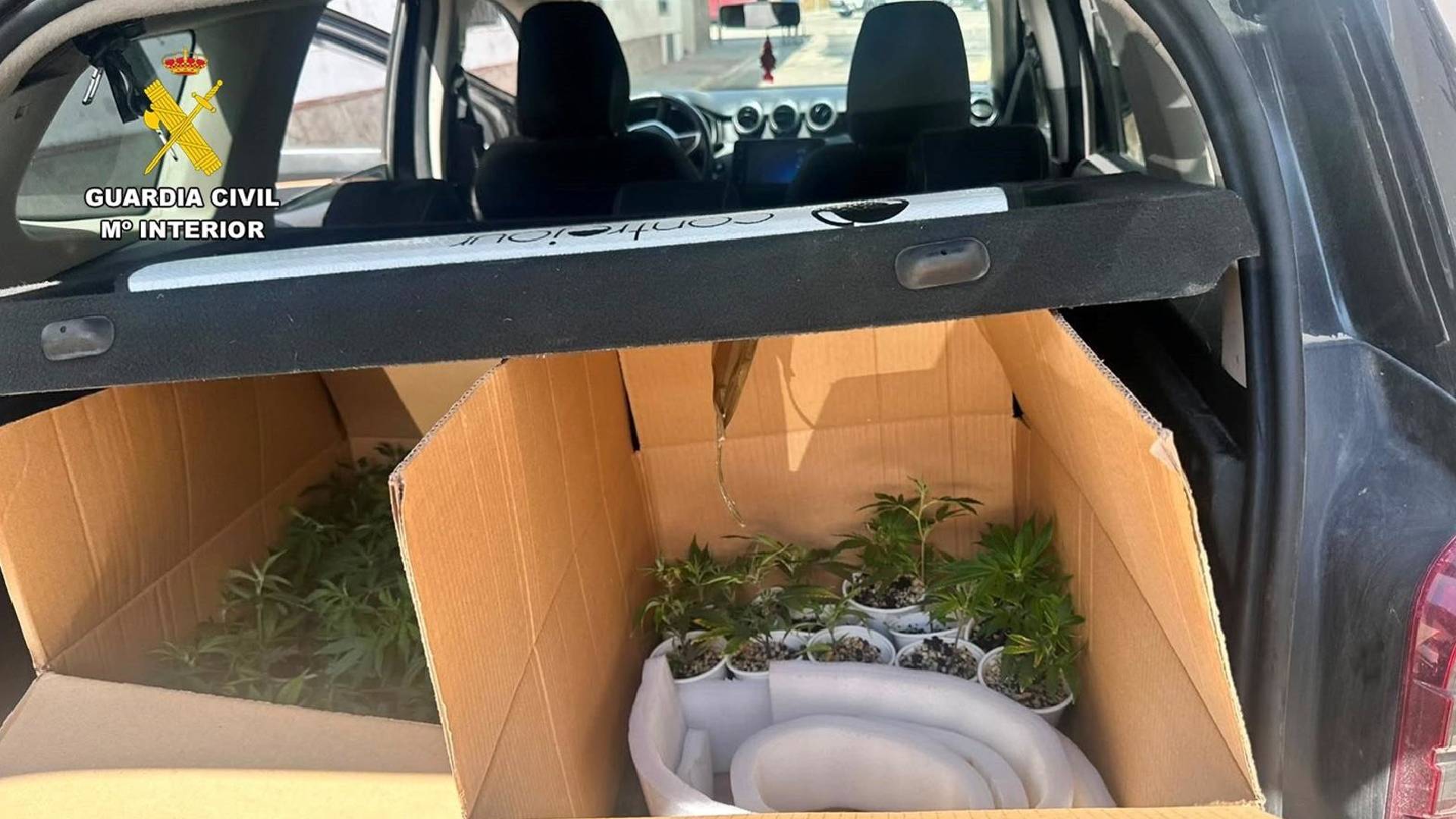 Pillado en San Roque en dirección contraria con un cargamento de cannabis en el maletero
