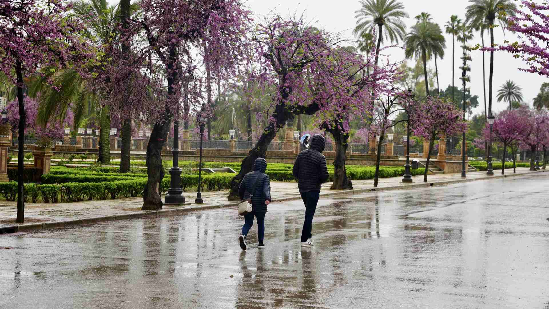 Aviso naranja por tormentas en Almería y amarillo por fuertes lluvias en Córdoba, Granada, Jaén y Antequera