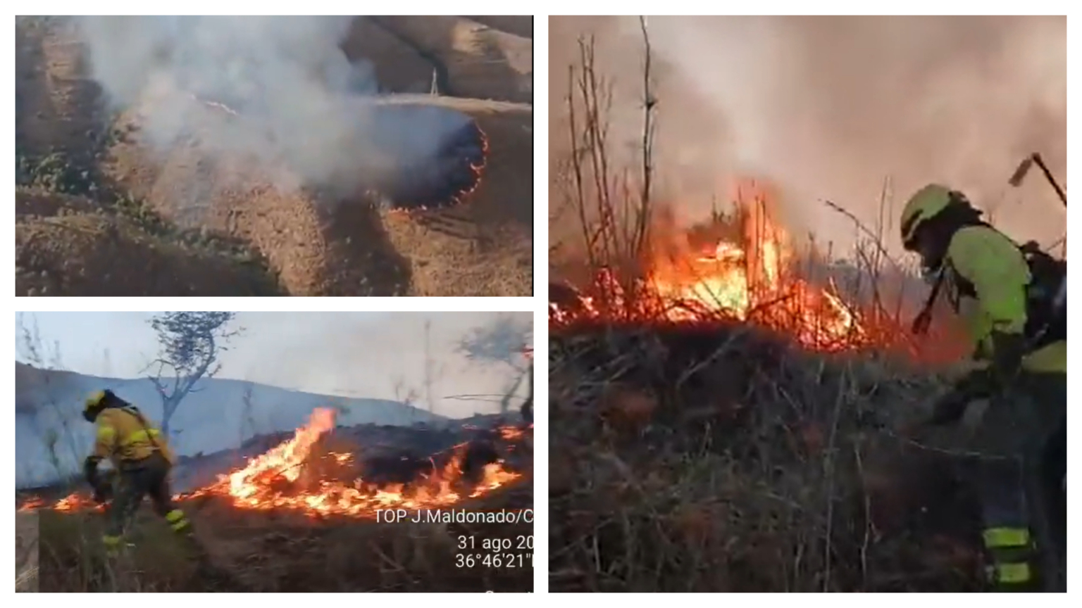 Nether Incendio Extinguido el incendio forestal de Molvízar - 101TV · Noticias de ...