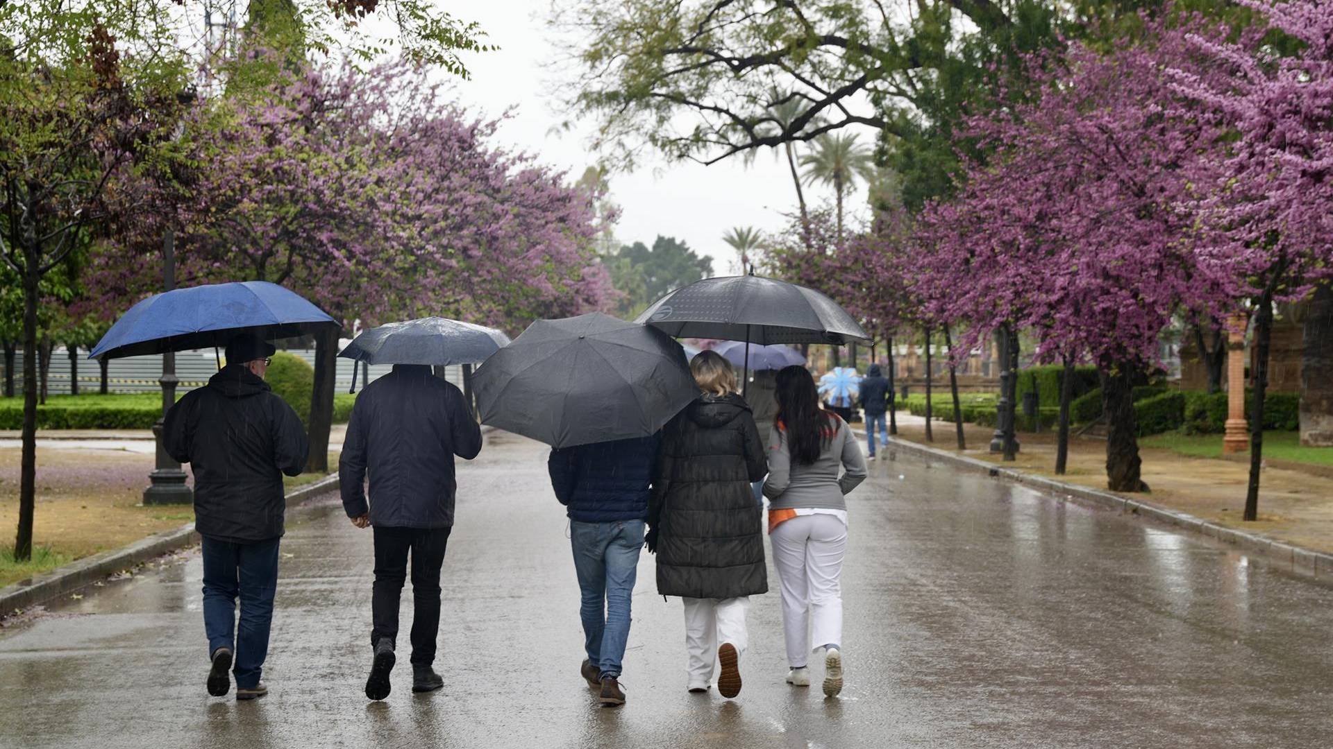 Aviso amarillo por lluvias en toda Andalucía: estas son las zonas con mayor riesgo en cada provincia