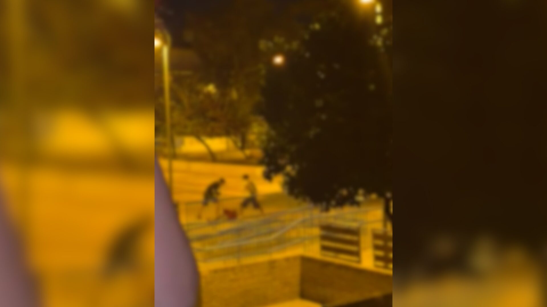 Dos-jovenes-detenidos-en-Mairena