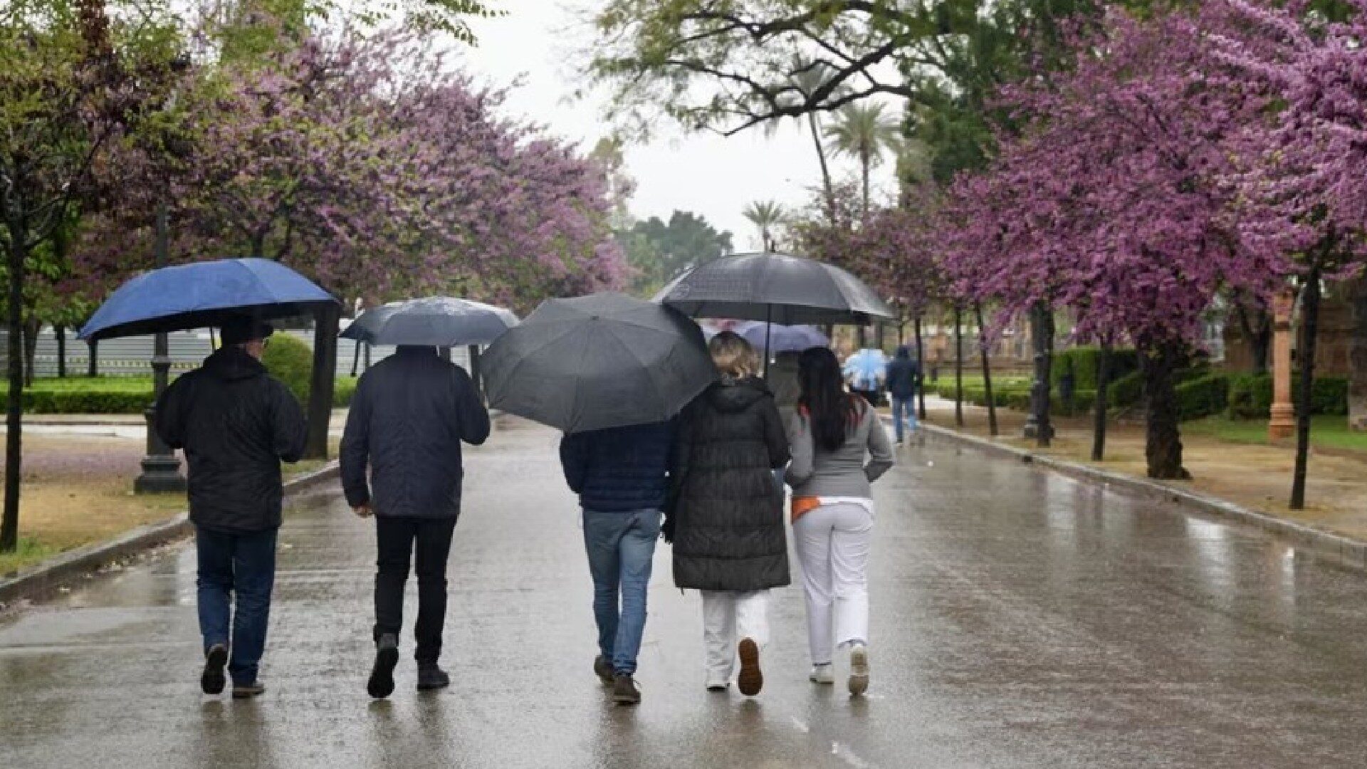 Las-tormentas-vuelven-el-tiempo-impredecible-en-el-primer-fin-de-semana-de-octubre-en-Andalucia