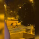 Dos-jovenes-detenidos-en-Mairena