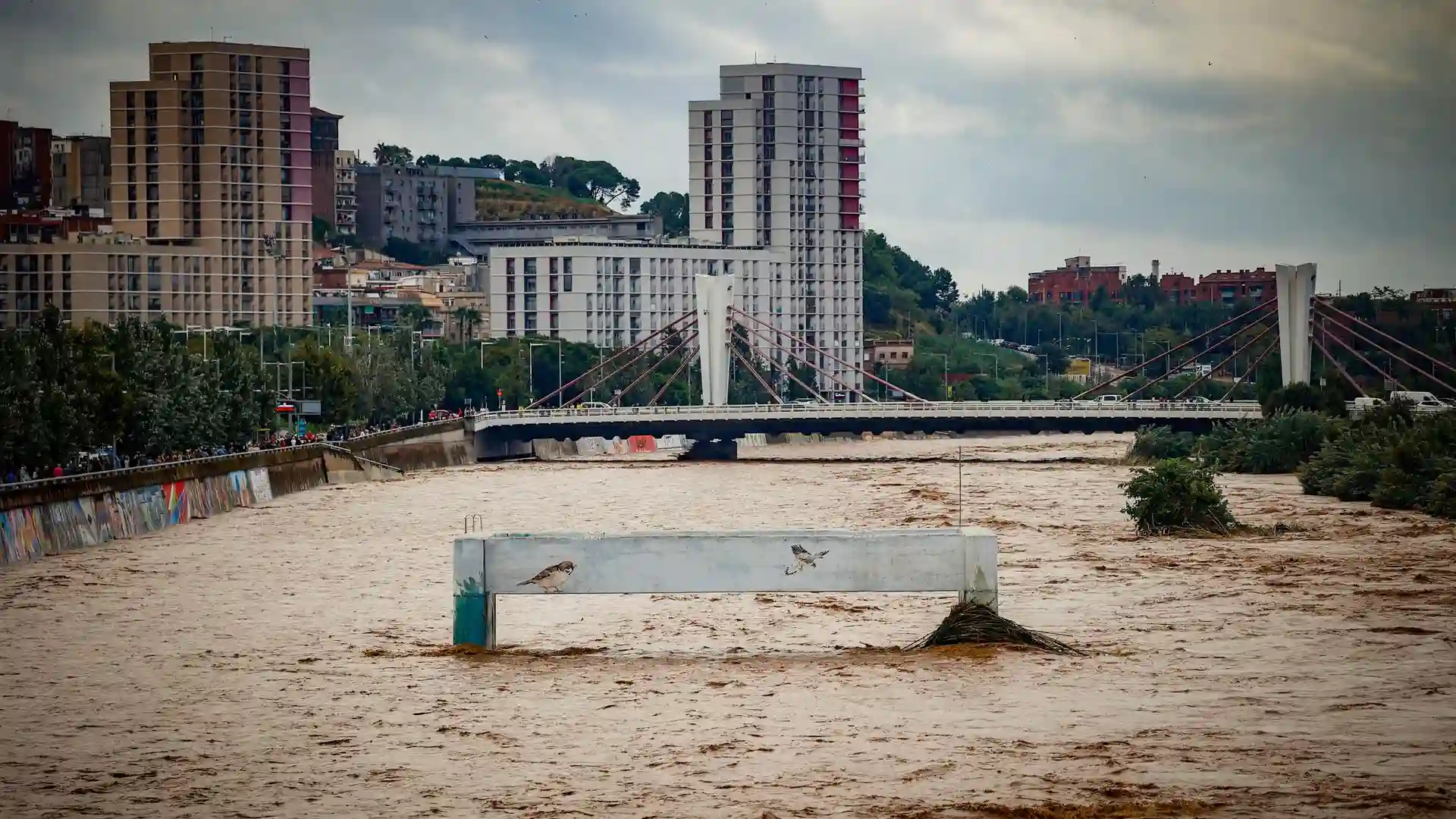 Lluvias-en-Cataluna