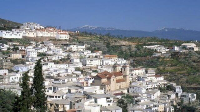 murtas-1