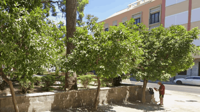Jardin-de-los-monos-Plaza-de-la-victoria-1