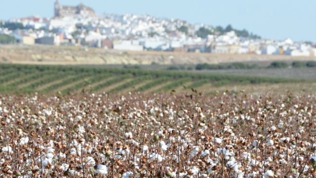 Captura-de-pantalla-2026-10-20-142109
