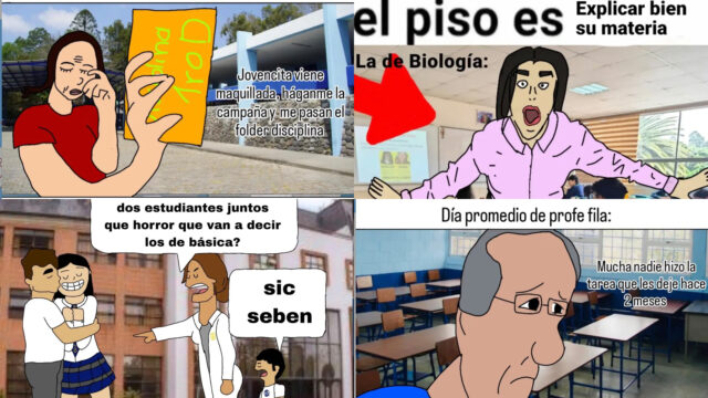 Curis