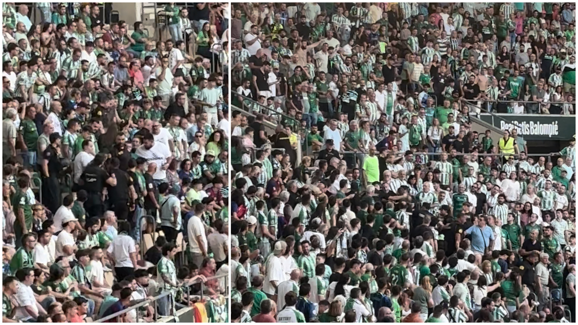 Tensión en La Cartuja: pelea entre aficionados en la grada por la celebración del primer gol del Barça ante el Betis